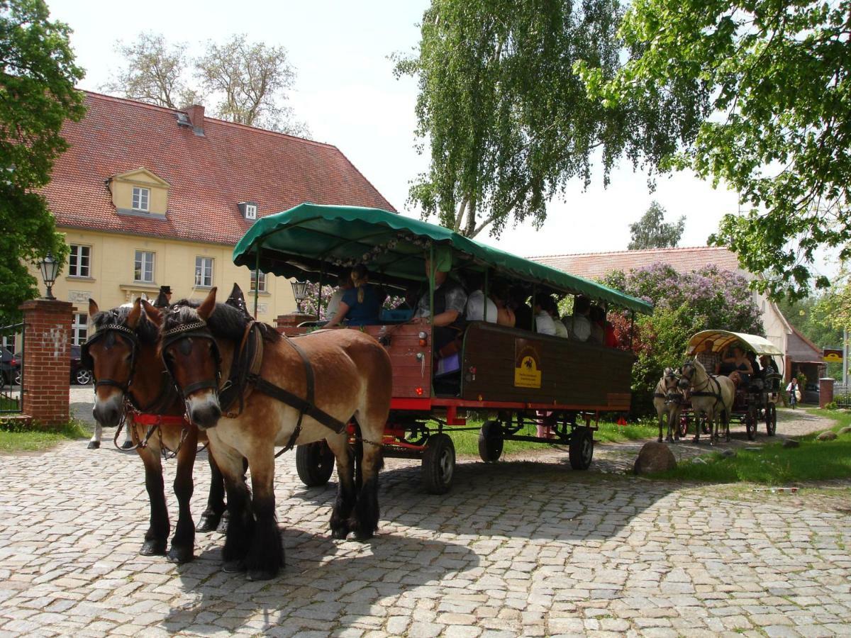 Schloss Diedersdorf Großbeeren Buitenkant foto